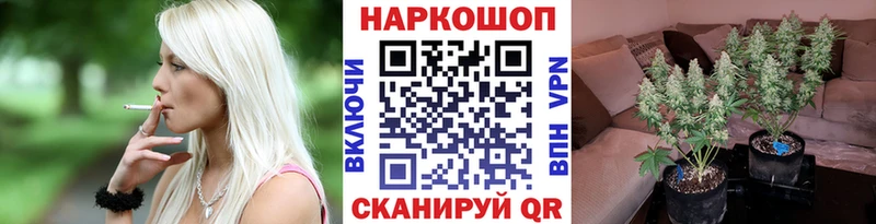 Как найти закладки Завитинск A PVP  COCAIN 