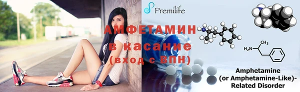 гашик Переславль-Залесский