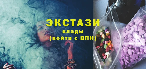 ECSTASY Ельня