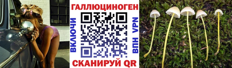 Галлюциногенные грибы Cubensis где продают Завитинск