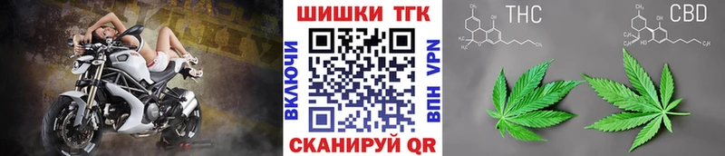 Шишки марихуана конопля Завитинск